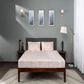 Livpure Sleep Bed & Linen Printed Cotton Bedsheet